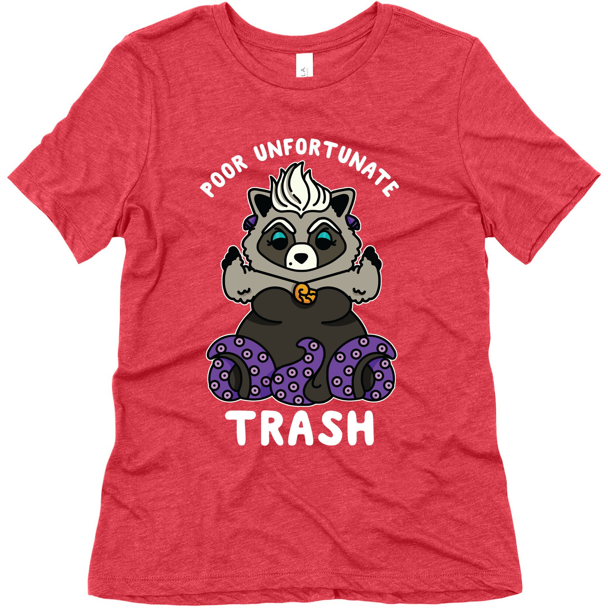 Poor Unfortunate Trash Raccoon  Women's Triblend Tee